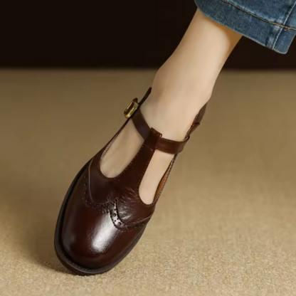 Women's T-Strap Mary Jane Shoes with Low Block Heel and Classic Design