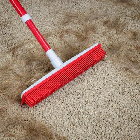 Pet Hair Removal Broom