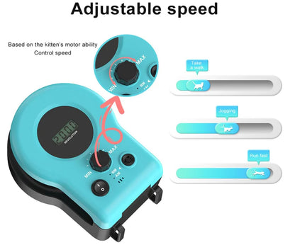 SpinTail™ – Interactive Cat Toy