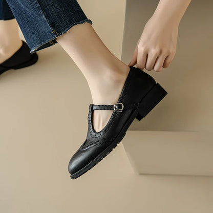 Women's T-Strap Mary Jane Shoes with Low Block Heel and Buckle Closure