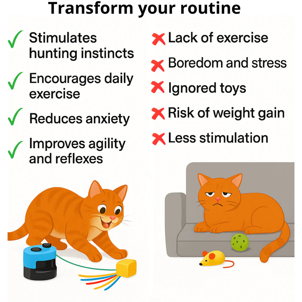 SpinTail™ – Interactive Cat Toy